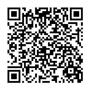 而在跑道上约瑟夫带着段明几位服务生己经到了跑道边上迎接飞机上的客人二维码生成