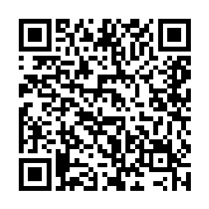 而在这其中就有着刚刚被苏凡给收拾的那一伙小混混二维码生成