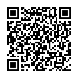 而在这般不是你吃了我就会是我吃了你的胶着局面下二维码生成