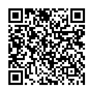 而在远处的柳琴看到那个模糊的人影竟然如此的厉害二维码生成