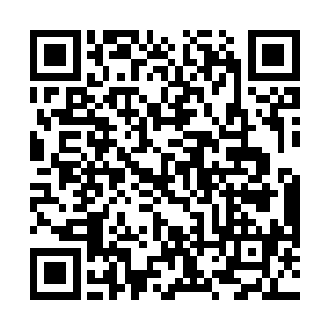 而在遥远的太阳系各大军校的学生都已经跳了起来欢呼二维码生成