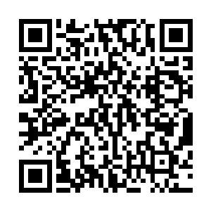 而在那些地方中心的地面之上露着一个直径约有两丈的地洞二维码生成