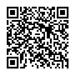 而在那四门里便是封印着四头来自远古时期的强大妖兽二维码生成