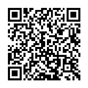 而在那石台之上则是摆放着一口巨大的黑色棺材二维码生成