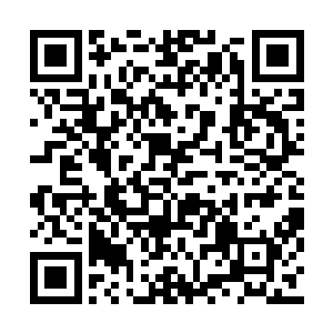 而在雪如楼开心愉快的看着染熙他们去找那婢女二维码生成