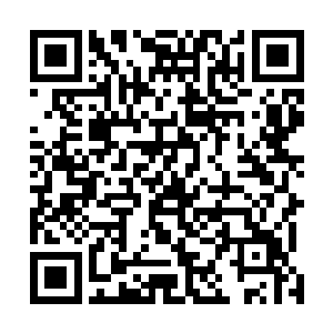 而在额头上却有着一个仿佛是胎记的墨色半翅蝶印的少女二维码生成