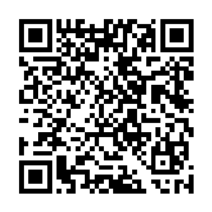 而在魔修一脉内根本不可能存在修为比安齐远更高的修士二维码生成