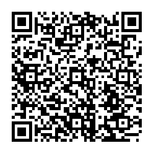 而在龙傲天身后的陆青和风沁雪两个人此时脸上也露出了一抹无比浓郁的崇拜的表情二维码生成