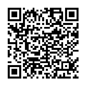 而地元界中的那个浑天宝球一般骑士想要尝试也非常不容易二维码生成