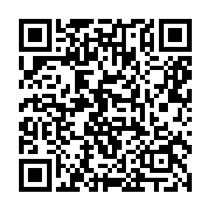 而地球上出现的虫族女王张怡竟然真的会是她的后代二维码生成