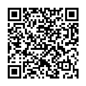 而坐在他对面的正是精心打扮了将近两个小时的朝迪娜二维码生成