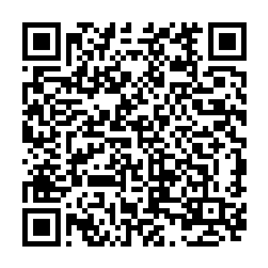 而坐在十二诸象大阵之外的那些普通血脉弟子虽然感觉不到那融合的频率二维码生成