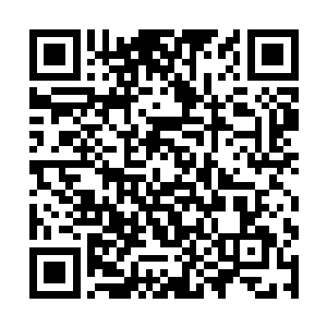 而坐在旁边的银发杀手很敏感的察觉到林光山的状态二维码生成