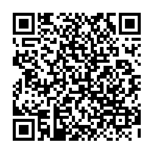 而坑里正还前些日子屠杀凶残的那些血族们正从泥地抓泥中藏匿的一些鱼类二维码生成