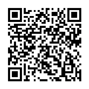 而坚持让Leo去调查艾维斯家族的核心成员除了对付King二维码生成