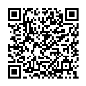 而塔塔林则压根不认为自己会用上这个联系方式二维码生成