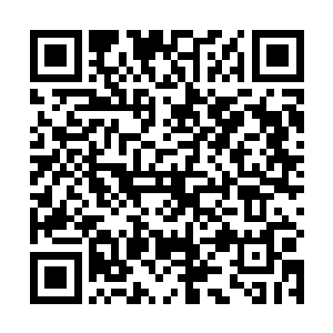 而墙壁四周的洞穴中则不时可以看到穿沙甲们进出上下二维码生成