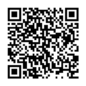 而墨枢洒出的暴雨在陷仙剑的光芒下也如同遭到了烈阳的暴晒二维码生成