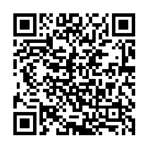 而墨荷看着流墨墨那不爽的模样和盯着那两个的眼神二维码生成