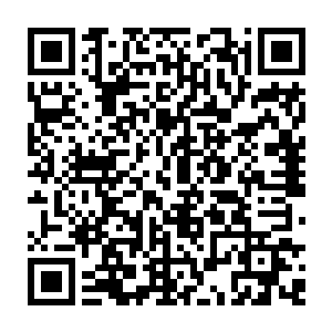 而备胎不顾一切的从暗中扑出来试图拯救自己――他明明知道自他不是对手的二维码生成