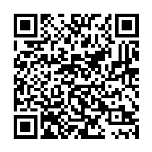 而夏侯家族手上没什么实权却能和四大天王平起平坐二维码生成