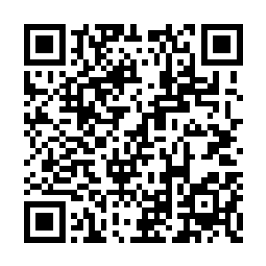 而夏琪和蓝灵却是依旧懒洋洋地赖在天道的床上二维码生成