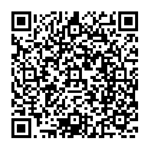 而外地人来本地承包荒山荒坡种植药材也极大地刺激了本地人扩大药材种植规模的积极性二维码生成