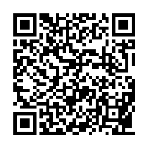 而夜明和危天也是将自己所有的攻击放在了那里二维码生成
