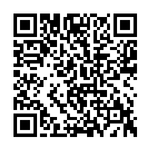 而夜染就是针对血丝害怕空气而研究了整整一年二维码生成