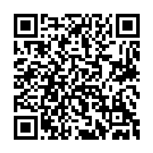 而大儿子在不满了之后会做出来什么样子的事情二维码生成