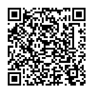 而大红和王婉柔这两个女中豪杰却还是消失在小白吐出来的灵体之中二维码生成