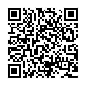 而太乙金仙以上修为要消除的戾气和业力需要天文数字般的杀戮二维码生成