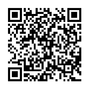 而太阳之子的血脉都被雷林制作成两次血脉印记消耗掉了二维码生成