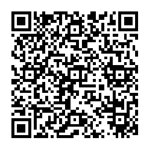 而夺冠呼声最高的澳大利亚选手霍顿和英国选手盖伊则从容不迫的跟游在萨普索诺夫的身后二维码生成