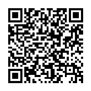 而奥利维亚不认为向来和军部不睦的帝国政务院会这么轻易松口二维码生成