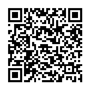 而奥里布就曾经见识过被游乐园虎鲸咬死的驯兽员二维码生成