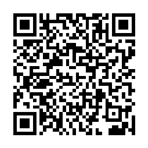 而女娲他们大多数时间都是在一边赶路一边简单的修炼二维码生成