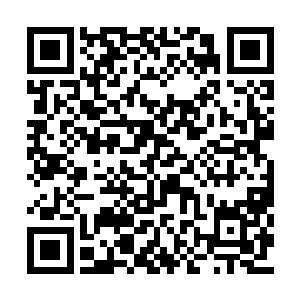 而女的全部都被蹂躏了百遍之后才慢慢折磨死的二维码生成