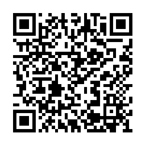 而她……是一名敢于把自己当做诱饵的高明猎手二维码生成