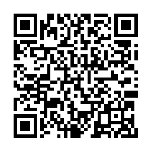 而她们家里送来的小丫头年纪小又如同一张白纸二维码生成