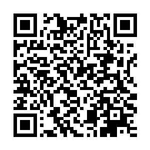 而她们生下来的孩子有时候连她们自己都搞不清到底是谁的孩子二维码生成