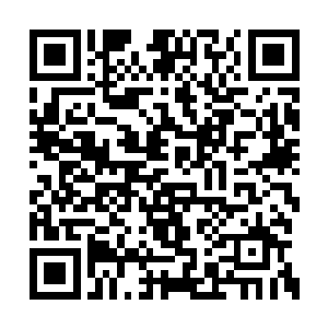 而她们看向你的那个眼神……怎么一个浪字了得二维码生成