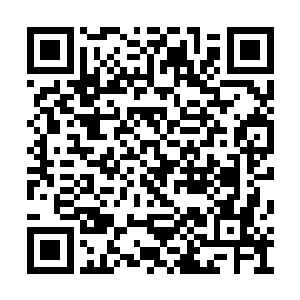 而她家的两个老头随便动动指头都会要了你的命二维码生成