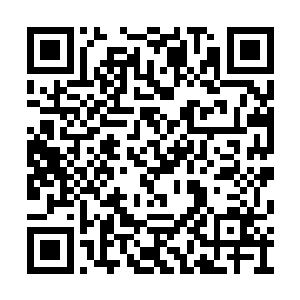 而她此时手中正握着绣花素朴的蓝色摺扇型抹胸二维码生成