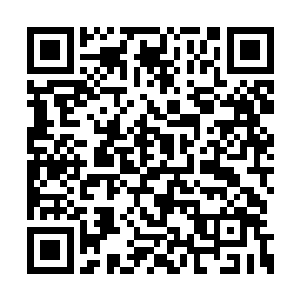 而她的蓝宝石龙头和黑龙头却依旧在呼呼大睡中二维码生成