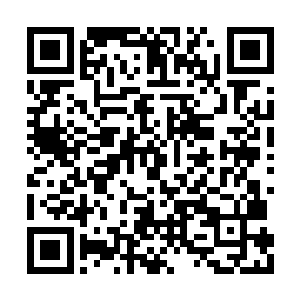 而她真的――真的真的不想要――接受这个进展二维码生成