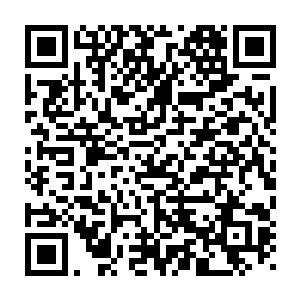 而她空间戒指里刚好有着几年前她和卡卡和一群狮岩兽打群架的时候二维码生成