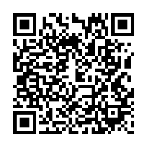 而她身体内的那个生命之气就是最好的治疗手段二维码生成