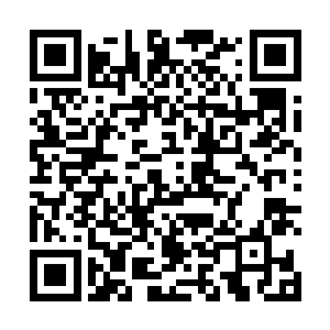 而她这个姐姐听了弟弟的话却是惊得娇躯都颤抖了一下二维码生成