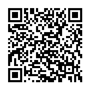 而她静静矗立这个介于位面世界之间的混沌之中二维码生成